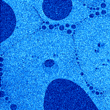 PS-LDPE sample image