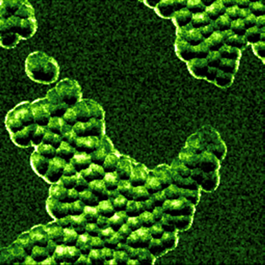 Silica gel sample image