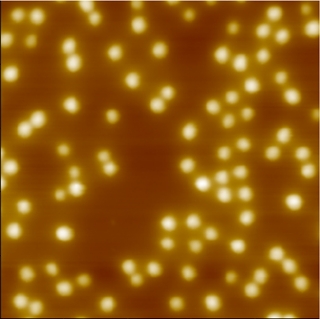 Peptide nano dots