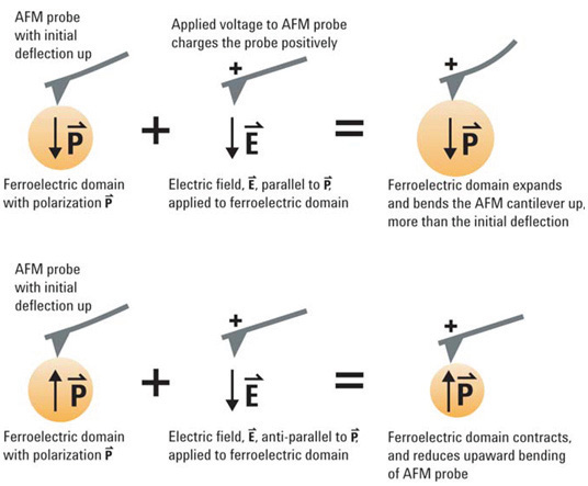 piezoelectric-force-microscopy-pfm-f1