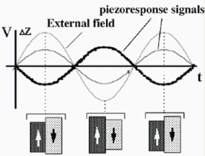 piezoelectric-force-microscopy-pfm-f2